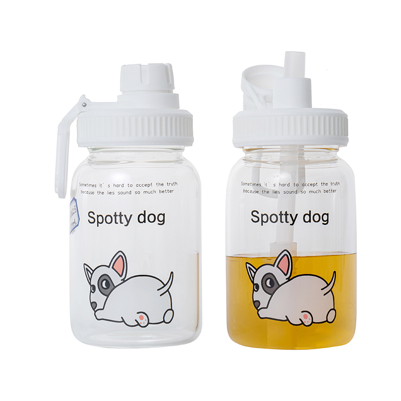 KDG Glassware 450ml High Borosilicate Water Bottles