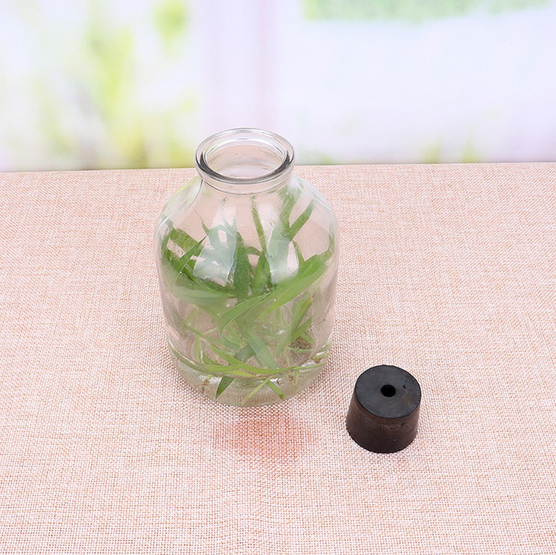 650ml Clear Glass Ampere Bottle for Green Plant Flower Seed 