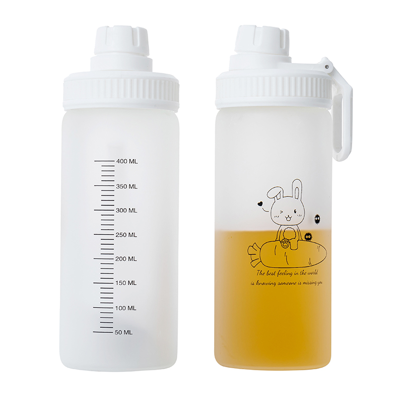 Customized 500ml Portable Glass Drinking Bottles 