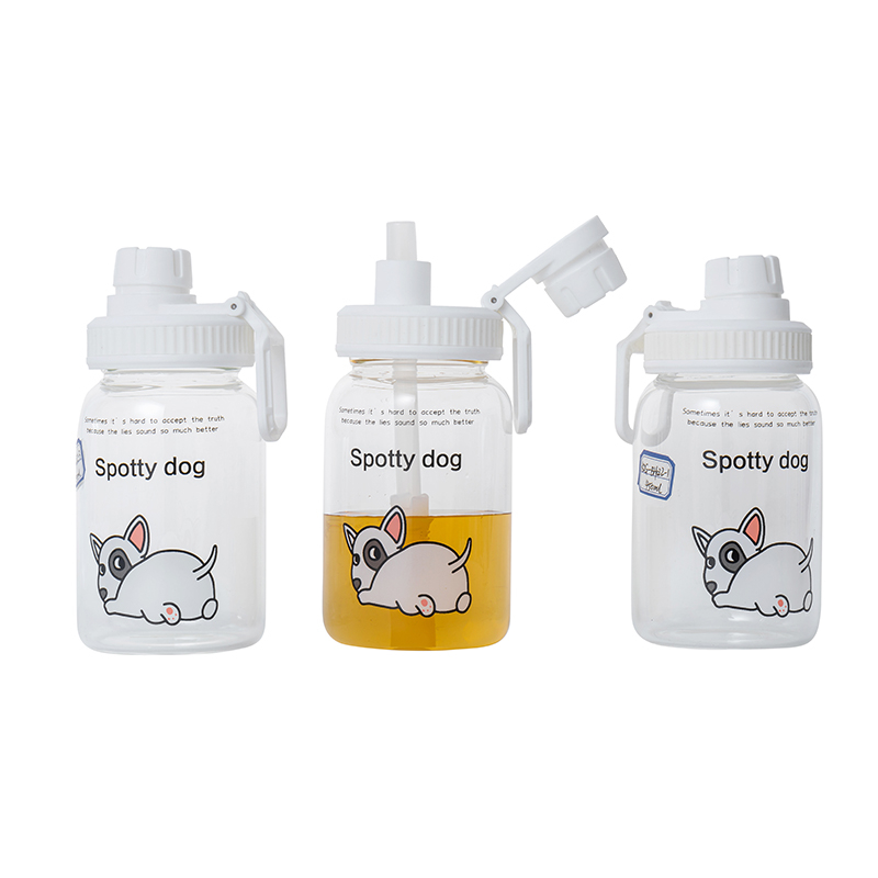 KDG Glassware 450ml High Borosilicate Water Bottles