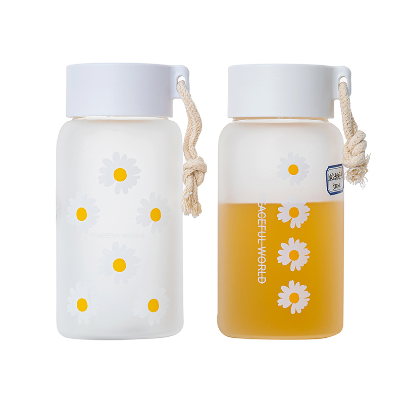 Eco Friendly 500ml Glass Bottles Hot Sale in School
