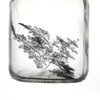 650ml Clear Glass Ampere Bottle for Green Plant Flower Seed 