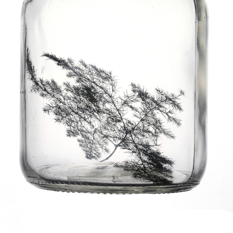 650ml Clear Glass Ampere Bottle for Green Plant Flower Seed 