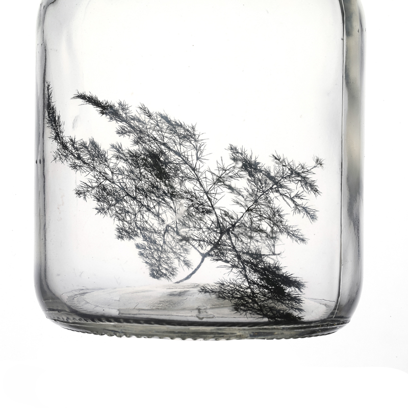 650ml Clear Glass Ampere Bottle for Green Plant Flower Seed 