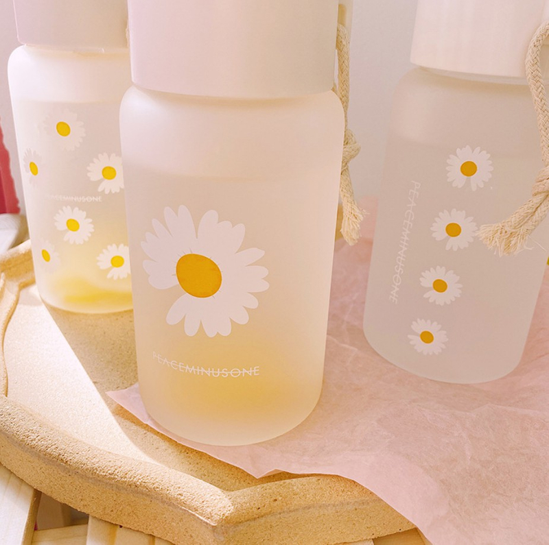 Eco Friendly 500ml Glass Bottles Hot Sale in School