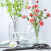 1000ml Cylinder Pumpkin Glass Packaging Jars with Lid
