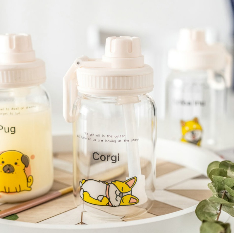 KDG Glassware 450ml High Borosilicate Water Bottles