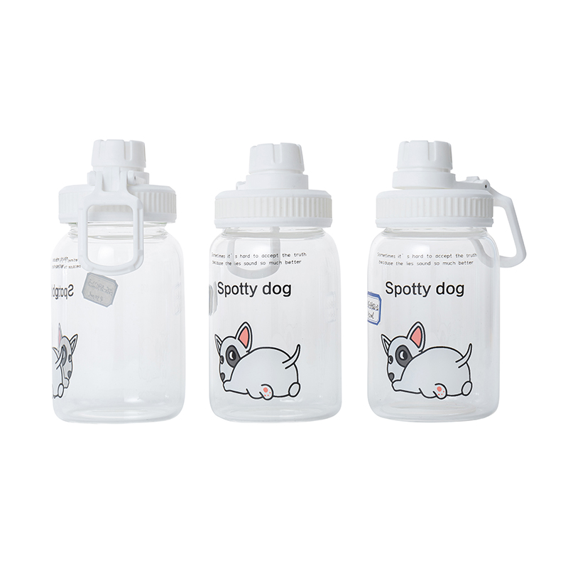 KDG Glassware 450ml High Borosilicate Water Bottles