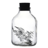 650ml Clear Glass Ampere Bottle for Green Plant Flower Seed 