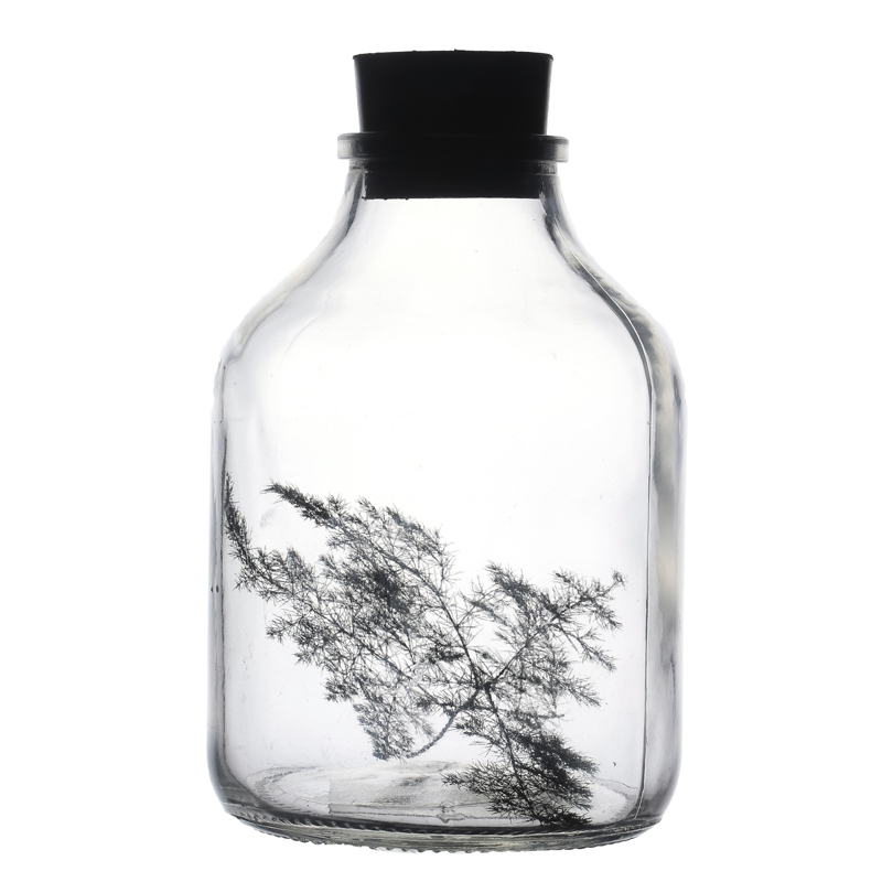 650ml Clear Glass Ampere Bottle for Green Plant Flower Seed 